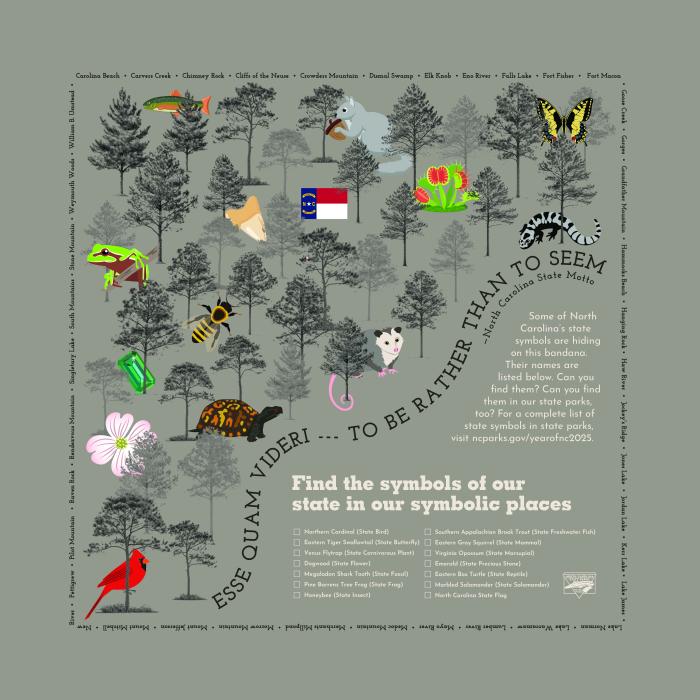2025 BANDANA - Year of the Symbol-Symbols Bandana 2025