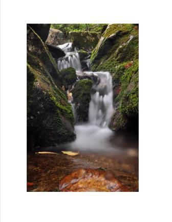 Grandfather Mountain Waterfall