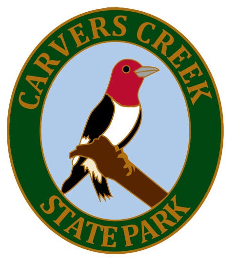 Carvers Creek Woodpecker Lapel Pin